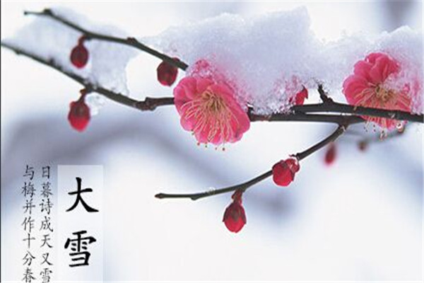 江蘇噴塑設(shè)備廠家｜大雪時(shí)節(jié),雪落歸家